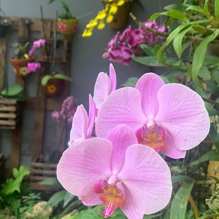 Casa Das Flores Chapada dos Guimarães Екстериор снимка