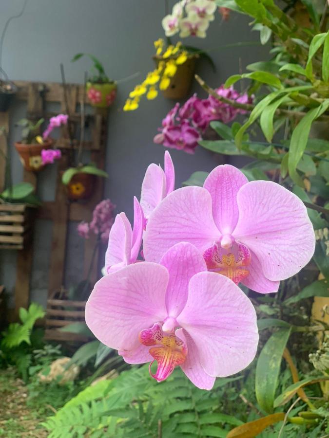 Casa Das Flores Chapada dos Guimarães Екстериор снимка
